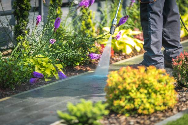 Best House Exterior Washing  in East Oakdale, CA